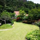 송죽헌민박 이미지