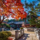 고궁파크 이미지