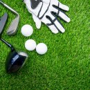 에프와이에스 골프 이미지