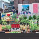 봄정원디자인 이미지