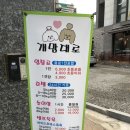 개맘대로 이미지