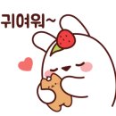 시가82 이미지