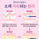 프리미어의원 이미지