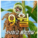 ＜09,08.주일오전예배설교＞ 신앙의 아름다운 열매를 맺자 이미지