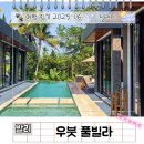 한국인 후기 없는 발리 우붓 에어비앤비 가족 풀빌라 가격