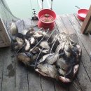 (주)거청 이미지