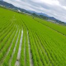 정승철농장 이미지