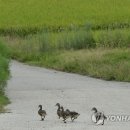 서덕들 화장실 연합뉴스