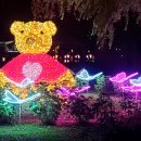 멘토LED조명 | 밤에 더 로맨틱해! LED 경관조명으로 물든 부여 궁남지 야간 데이트 코스