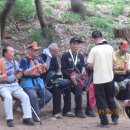 보배길 Daum카페