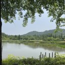 푸른수목원 | 🌿 초여름 햇살 아래, 항동 푸른수목원 나들이 후기 🌿