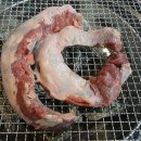 황소고집 이미지