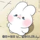 CES 2024 서울시 통합관 대학생 서포터즈_