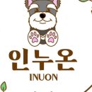 강아지미용실 이미지