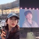 석진이네 | 심진화, 방탄소년단 콘서트 인증샷 공개! '우리 석진이' 애정 드러내