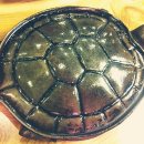 솥뚜껑윤이네 이미지