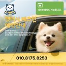 행복펫택시 네이버블로그
