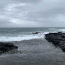 바로이집 이미지