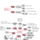 복지요결 마인드맵과 느낀점 이미지