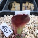 아바타 3 이미지