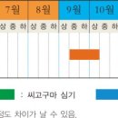 고맙구마