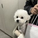 화가 나요.. 그리고는 스스로 통제가 안돼요.. | 인천 아인병원 제왕절개 출산 후기, 입원 생활 팁