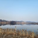 과일정