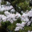 창원대로 이미지