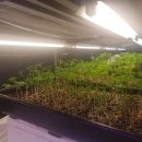 군서농장 이미지