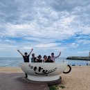 스테이카멜7 이미지