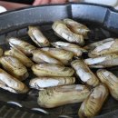 용두산장 티스토리