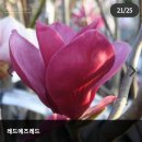 스마트도시농부협동조합 이미지