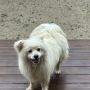 달팽이하우스