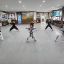 합기도 용호체육관 이미지