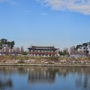 수향루 Daum카페