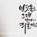 반딧불문구 이미지