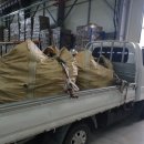 와룡자원 이미지