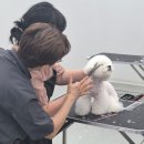 데이,그룸 이미지