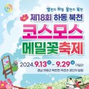 제7회 하동북천코스모스메밀꽃축제 | 하동여행지 가을 축제 제 18회 하동 북천 코스모스·메밀꽃 축제