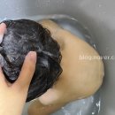 아가다헤어 이미지