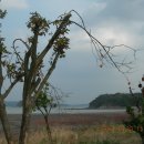 연흥농장 이미지