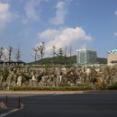 정선군 도사곡샘터 이미지