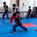 경희석사백호태권도 백호 선수&amp;시범단, 한가림품새선수단 입시센터 특별훈련 다녀왔습니다