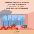 낭만화로 이미지