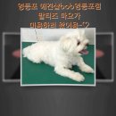 BOB영등포점 이미지