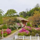 모석원 (Moseokwon) 이미지