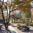 경천대일주로 이미지