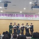 삼태 이미지