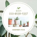 영주시종합사회복지관 | 대구 경북 안동 영주 예천 복지관 마을방문 원예프로그램 '추억정원꾸미기'