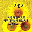 ♤겸손함과 인내♧ 이미지